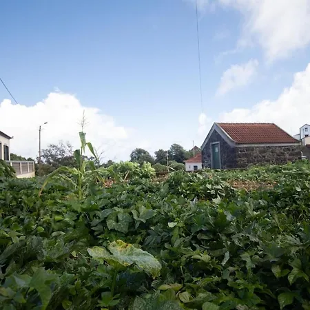 Дом отдыха Casa Serafina By Rent-a-key Порту-Мониш