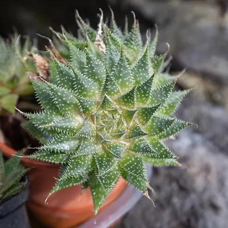 Casa Serafina By Rent-a-key Порту-Мониш