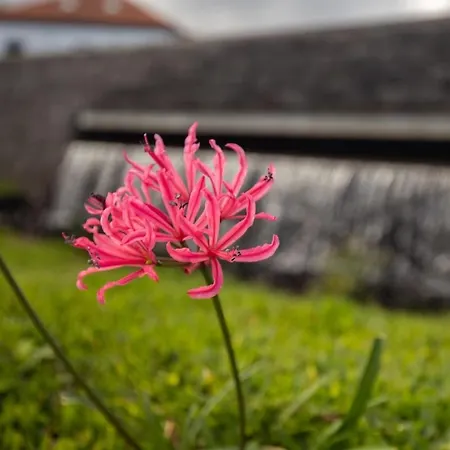 Casa Serafina By Rent-a-key * Porto Moniz