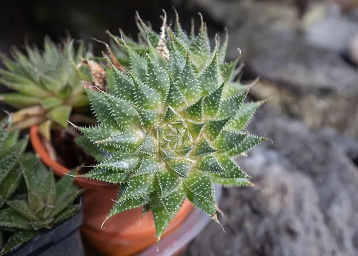 Casa Serafina By Rent-a-key Santa Maria Madalena