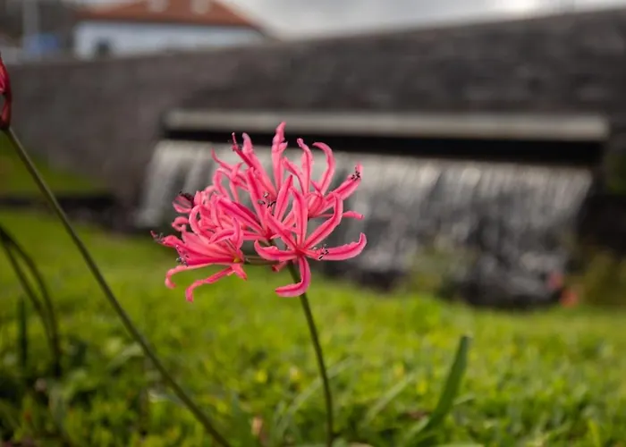 Casa Serafina By Rent-a-key * Santa Maria Madalena